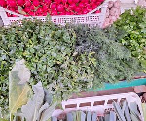 Ceny nowalijek na targu w Rzeszowie. Ile kosztują świeże warzywa?