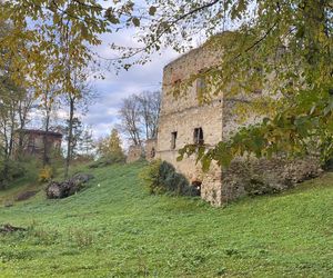 Zamek w Dąbrówce Starzeńskiej