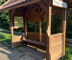 Wandale zniszczyli drewniane przystanki autobusowe