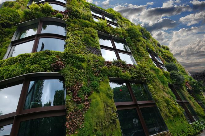 Ogrody wertykalne, zieleń na dachach budynków. Czy Warszawa będzie w ten sposób walczyć ze smogiem?
