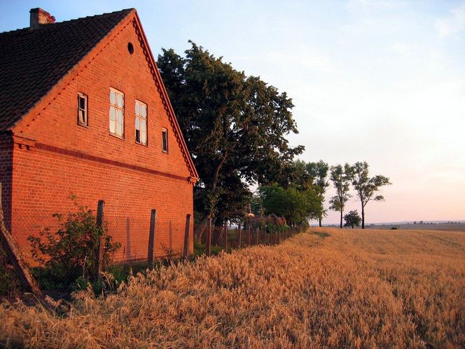   Barciany. Ta wieś w woj. warmińsko-mazurskim dawniej była miastem. Skrywa wyjątkowy zamek