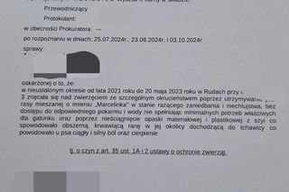 Założyli psu na szyję gumę, trytytki, żeby wrzynały się tchawicę. Jest wyrok sądu za znęcanie się nad Marcelinką. To były tortury