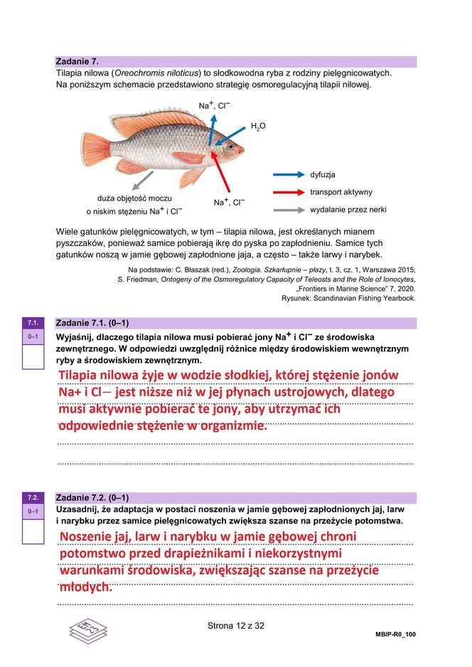 Matura 2025: biologia 9.05.2025. Arkusze CKE i odpowiedzi [Formuła 2023]