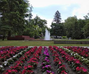 Park miejski w Tomaszowie Lubelskim