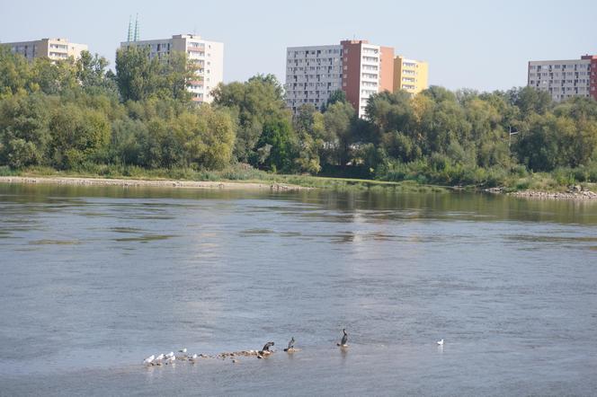 Obecny poziom Wisły w Warszawie 