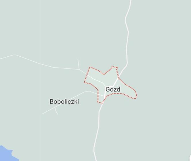 Gozd