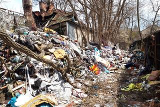 Tykająca bomba sanitarna i ekologiczna w Kielcach. Siedlisko szczurów i chorób na opuszczonej posesji!