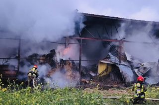 Pożar w Andrzejkach. Strażacy walczyli o uratowanie zwierząt i domu
