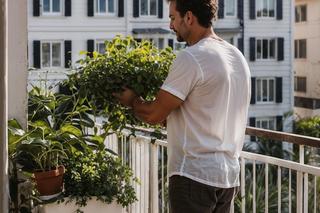 Zieleń przynosi ulgę i wytchnienie podczas wypoczynku na balkonie 