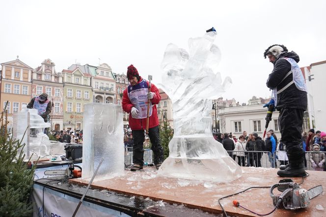 Poznań Ice Festival 2024 