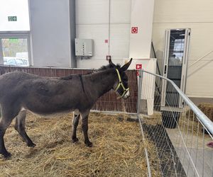 ZooPark w Lublinie. Dzień drugi