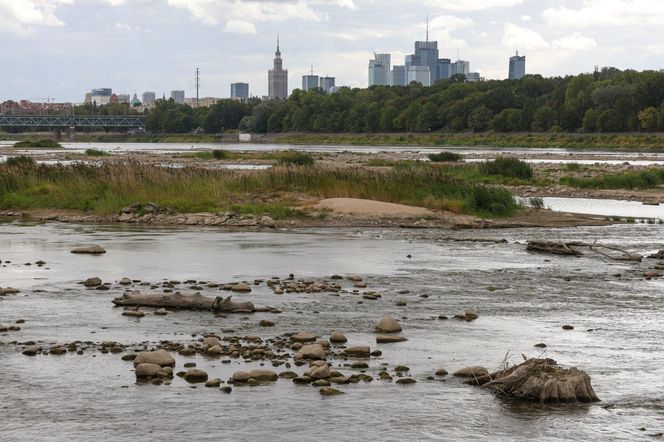 Rekordowo niski stan wody w Wiśle w Warszawie (23.08.2025)