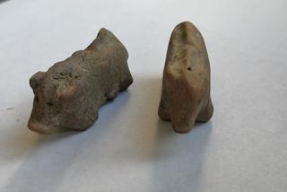 Te świnki są naprawdę stare! Mają 3,5 tysiąca lat! NIESAMOWITE znalezisko w Maszkowicach 