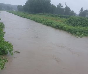 Gmina Czechowice-Dziedzice