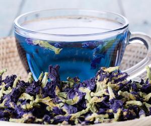 Poczuj magię Butterfly Pea Tea. Tajowie wiedzą, że ich niebieska herbata to ratunek na upalne dni