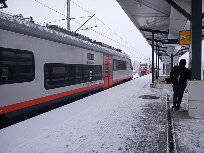 Zima w Świętokrzyskiem. Skarżysko-Kamienna w białym puchu. Zobacz zdjęcia