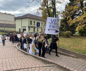 Pochód Postaci Literackich