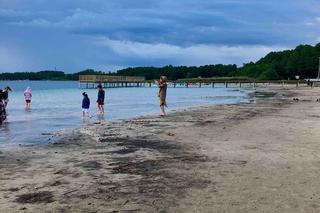 Wyschnięte jezioro na Mazurach. 