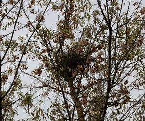 Jesienna odsłona terenów nad Bystrzycą w Lublinie. Tak się prezentuje w październiku