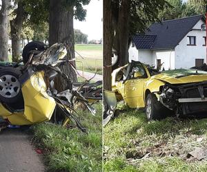 Śmiertelny wypadek pod Świebodzinem. Auto 37- i 32-latka zostało rozerwane na strzępy [ZDJĘCIA].