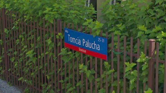 Tomcia Palucha