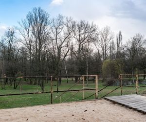 To najniebezpieczniejsze miasta w Polsce