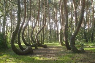 Nieodkryte miejsca w Polsce