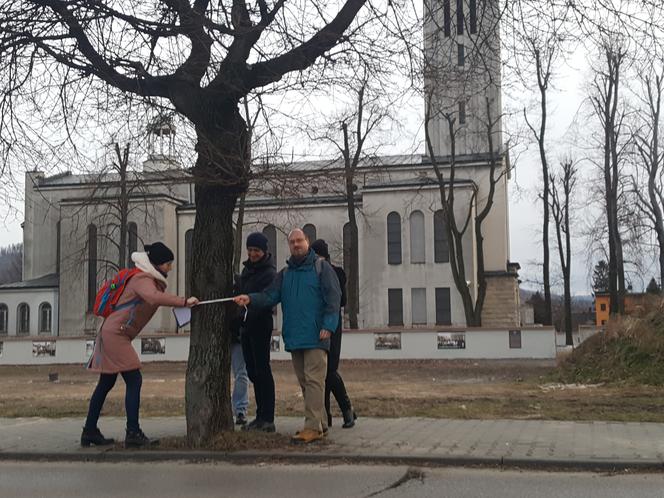 Chcą uratować drzewa na Zabłociu