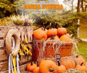 Farma Dyniowa w Legendii