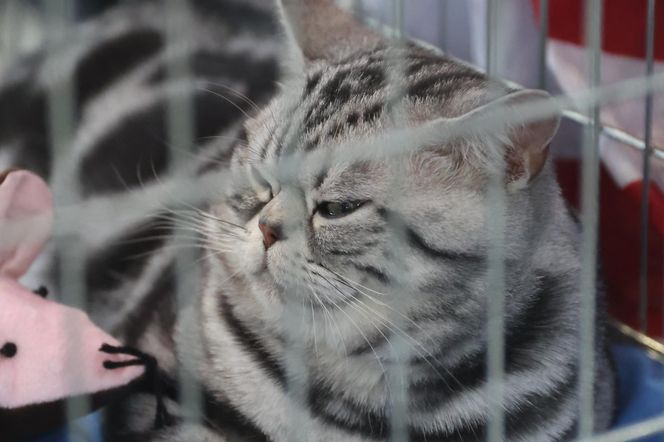 ZooPark ponownie przyciągnął do Targów Lublin tłumy miłośników zwierząt