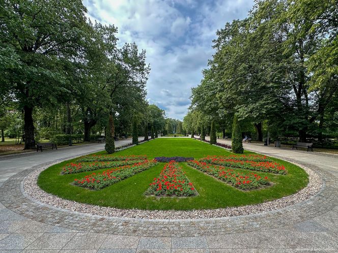 TOP 5 powiatów w woj. podlaskim z najwyższymi zarobkami. Tutaj w regionie żyje się na bogato!