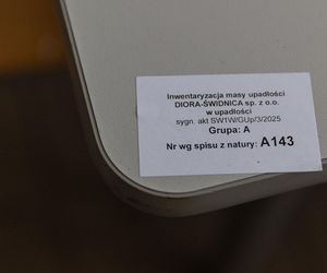 Diora Świdnica w upadłości