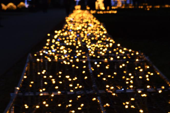 Jak gwiazdy na niebie