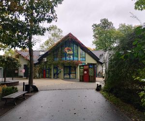 Truchła zwierząt w opolskim zoo - dyrekcja komentuje sprawę