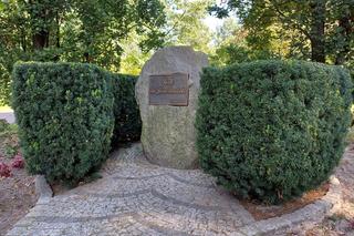 Ostrzeszów w barwach późnego lata [GALERIA]