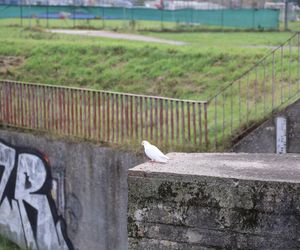 Jesienna odsłona terenów nad Bystrzycą w Lublinie. Tak się prezentuje w październiku