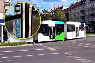 Nowe oznaczenia na tramwajach i autobusach. To zapowiedź dużych zmian. Już nie będzie niedomówień