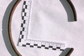 Sensacyjne odkrycie na Mazurach. Rolnik znalazł prawdziwy skarb!