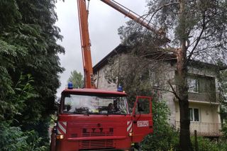 Potężne burze nad Polską. Drzewa spadały na samochody, setki interwencji straży pożarnej 