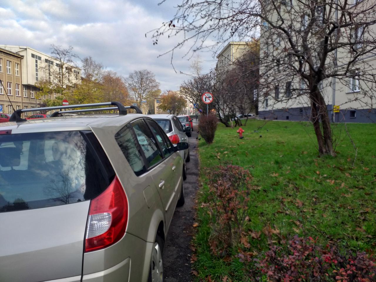 Dzikie parkowanie w katowickiej dzielnicy Koszutka. Mieszkańcy mają dość [ZDJĘCIA, AUDIO, WIDEO]