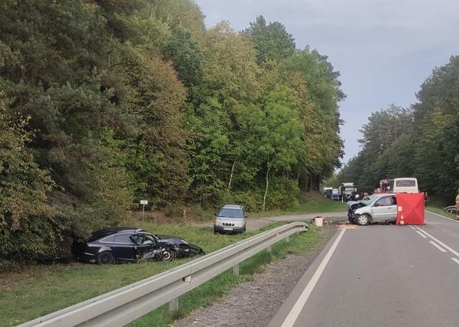 Tragiczny wypadek w Rogóżu. Jedna osoba nie żyje, kilka jest rannych