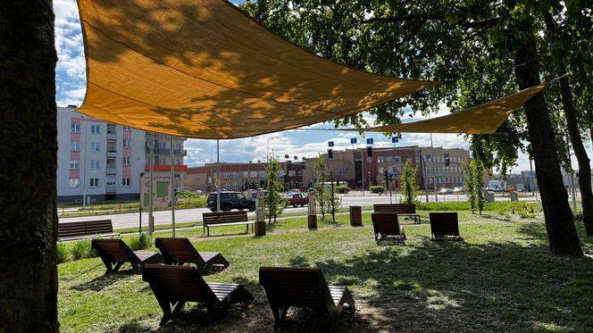 Park Lawendowy na osiedlu TBS w Białymstoku