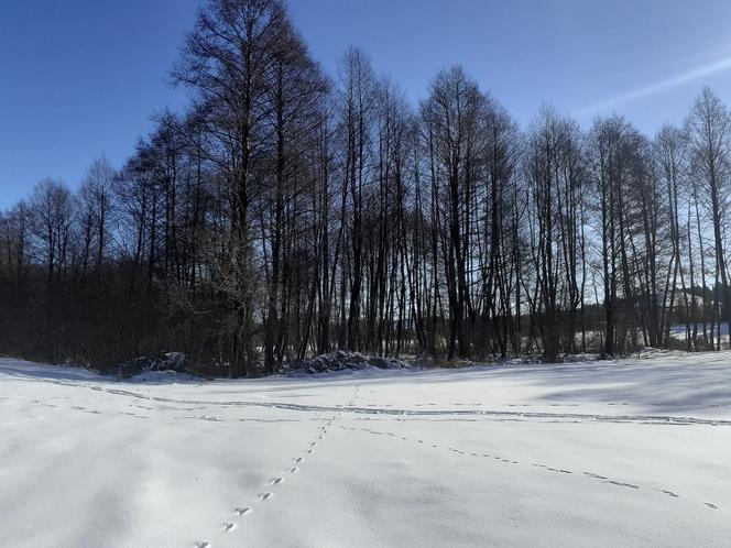 Zima Toruń i okolice