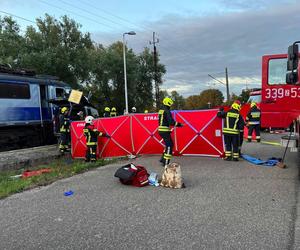 Wypadek na stacji Borkowice