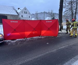 Koszmar na drodze koło Jawora. Kierowca dostawczaka z impetem uderzył w drzewo 