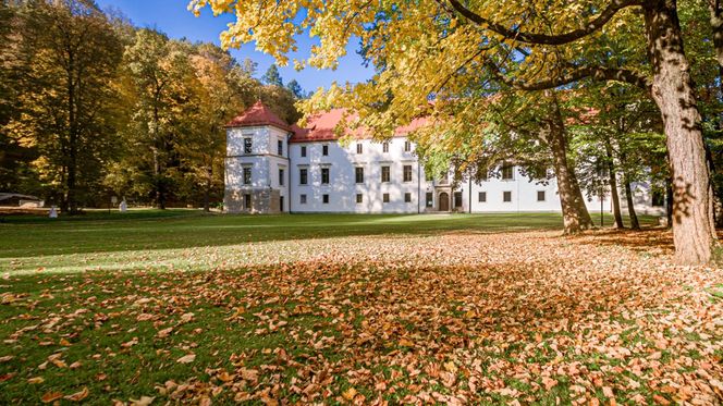 To małopolskie miasto gwiazd. Wychowało wiele wybitnych postaci 