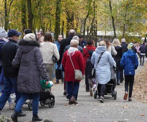 Tłumy na cmentarzu na Miłostowie