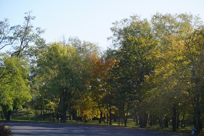 Park im. św. Jana Pawła II w jesiennych barwach