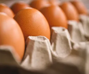 Polskie jaja droższe od greckich i niemieckich. Ale, czy najdroższe w Europie? Mamy ranking