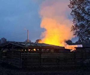 Pożar w Przystani Ocalenie w Ćwiklicach